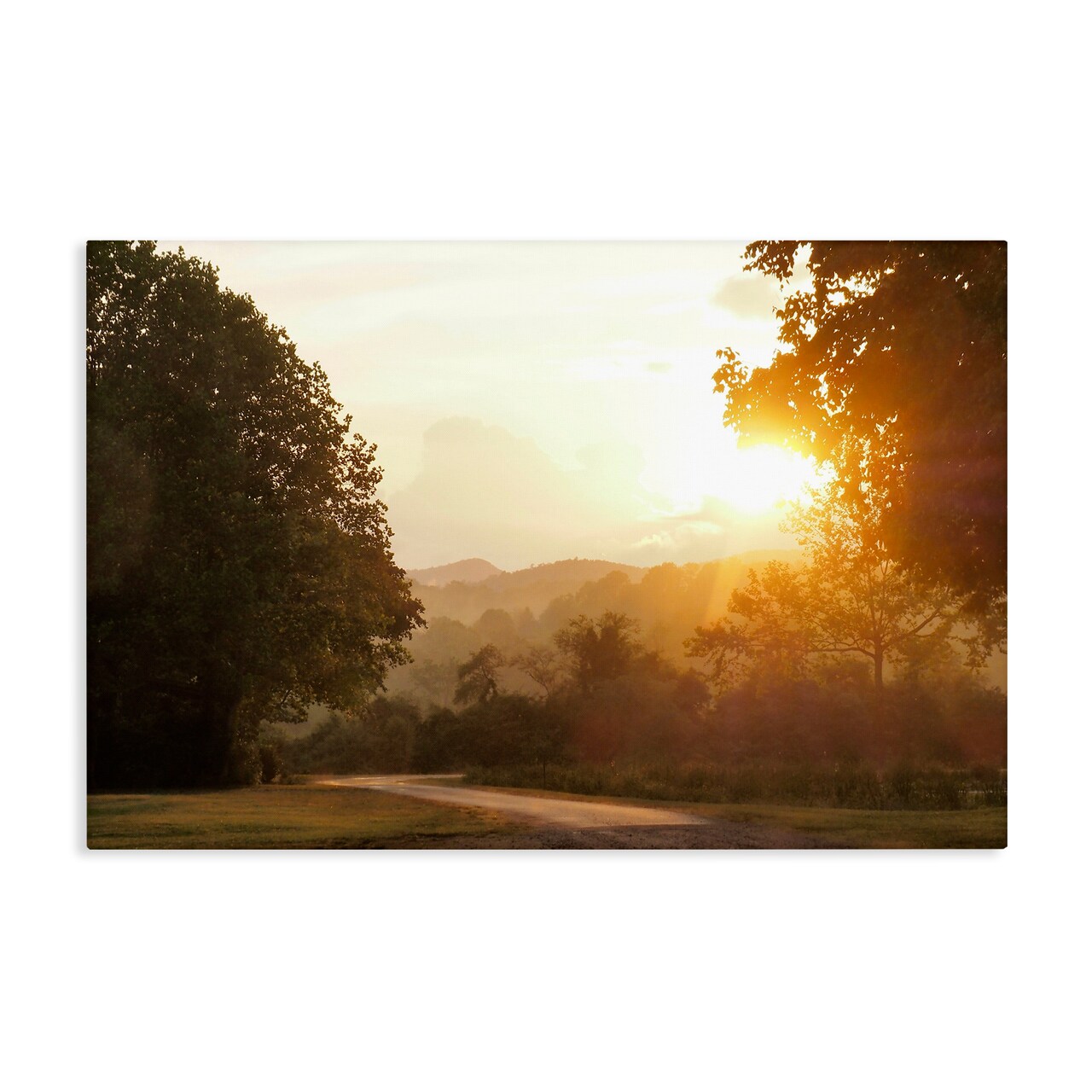 Stupell Industries Golden Morning Between Trees Canvas, design by Gail Peck